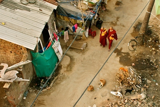 숙소가 있는 마을의 모습. 판잣집 사이로 게으른 개 두 마리가 늘어져 있다. 보드가야는 각국의 불교 순례객들이 몰려드는 인도의 유명 관광지이지만, 관광지 말고는 경제 산업이랄게 없는 외진 시골 마을이다. 