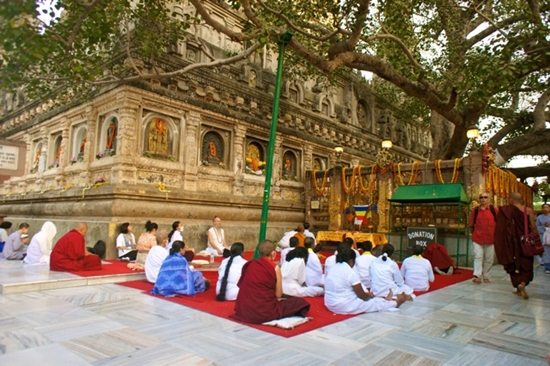 보드가야 마하보디 사원. 하얀 승복을 입은 신자들이 한쪽에 모여 경전을 외고 있다.