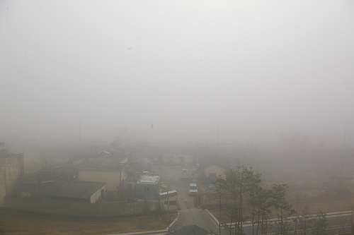 오늘(25일)은 짙은 안개와 함께 전국적으로 대기 중 미세먼지 농도가 높을 것으로 예상된다. 