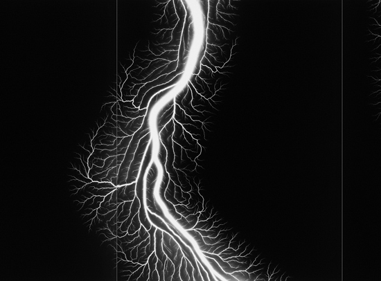 Lightning Fields Composed 012 (Detail), 2009 
젤라틴 실버 프린트 Gelatin silver print 
149.2×716.3cm/2 sets 
Private Collection 
