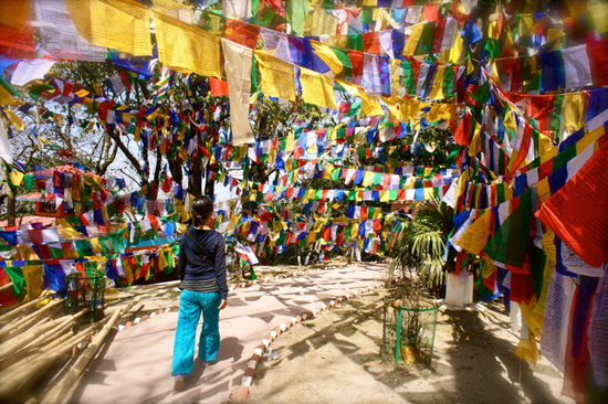 다르질링의 티베트 타르초(기도 깃발). 다르질링에는 티베트계와 네팔계 인구가 많다. 