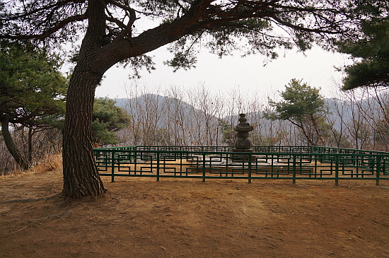 굽은 소나무 아래 편안히 놓여 있는 부도를 보면 삶과 죽음에 대해 이런 저런 생각을 하게 된다 