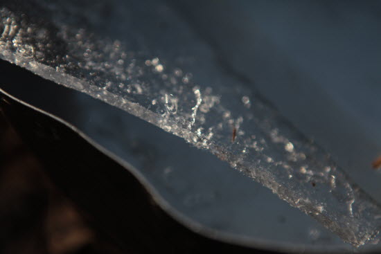 올해 경칩날(3월 6일) 아침, 애완견 물그릇에 얼음이 두껍게 얼었습니다. 