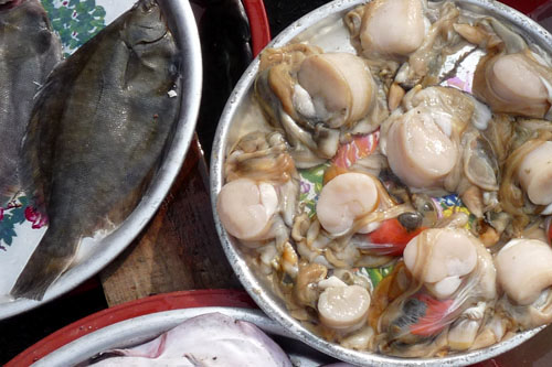 대덕장 어물전에서 만난 키조개 속살. 쇠고기, 표고버섯과 함께 구워먹는 장흥의 별미 키조개삼합의 재료 가운데 하나다.