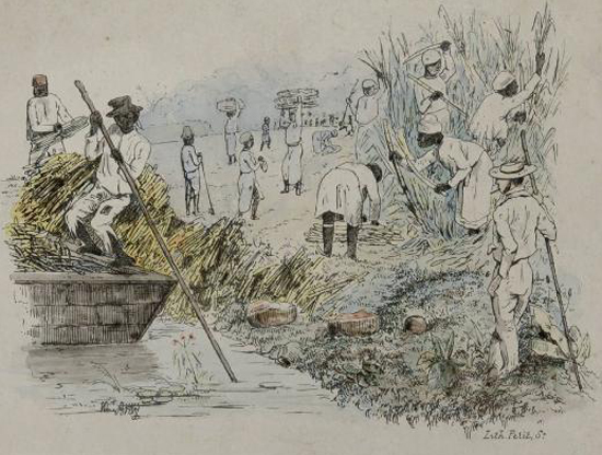 유럽인들의 감독 하에 사탕수수 농장에서 노동하는 아프리카인 노예들. 19세기 때 나온, 테오도르 브래이의 석판화. 
