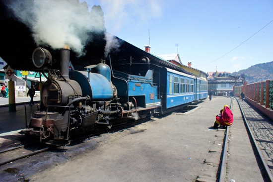 유네스코 세계문화유산으로 등록된 다르질링의 토이 트레인. 뉴잘패구리역에서 다르질링까지 이 기차를 타고 올라갈 수 있다.