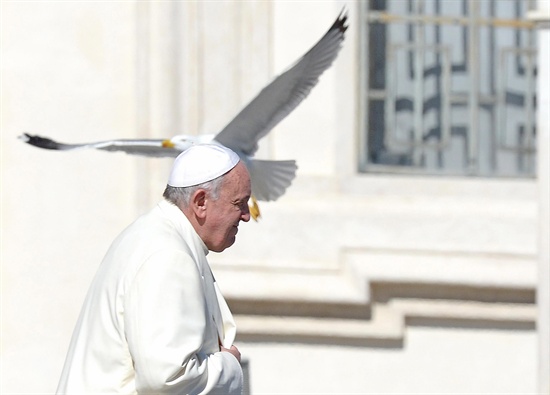  프란치스코 교황이 지난 3월 5일(현지시각) 바티칸 성 베드로 광장에서 일반 알현을 하는 중 갈매기가 그 옆으로 날아가고 있다. 