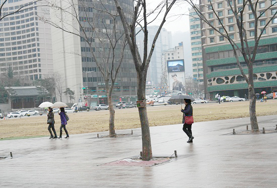 지난 12일 오후 서울에 봄비가 내렸다. 