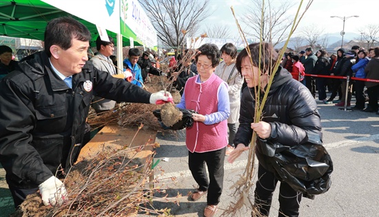  함양군은 21일 오후 상림공원에서 ‘나무 나누어 주기 행사'를 열었다.