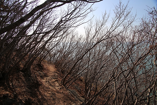 돌산도 성두마을에서 향일암 가는 바닷가 해안길. 한 사람 정도 걸어갈 수 있는 오솔길