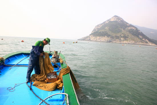 보옥리 바다의 멸치잡이  앞에는 뽀쪽산이 보인다.