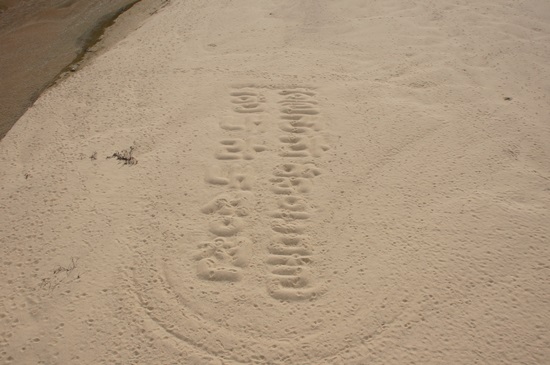 "힘내라 내성천, 흘러라 맑은물!" 누군가가 내성천 모래밭에 글씨를 남겨 놓았다.