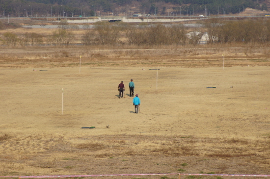 구미보 하류 "흑두루미 도래지역으로 교란행위 금지"라는 플래카드 뒤 강변 둔치에서 골프를 치고 있는 모습. 