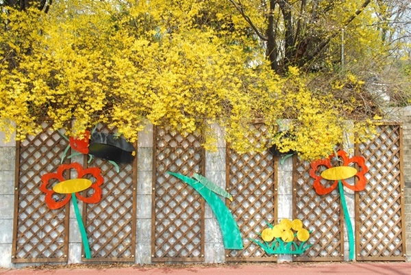 수원문화원 축대에 마련한 벽화와 개나리꽃