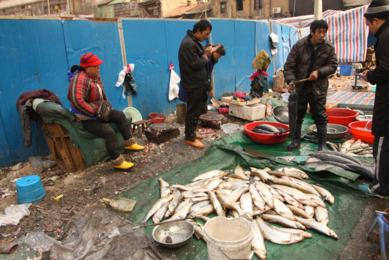 물고기 거래가 활발한 동정호 시장 모습