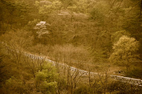 남한산성 동문에서 바라본 성벽과 오는 봄