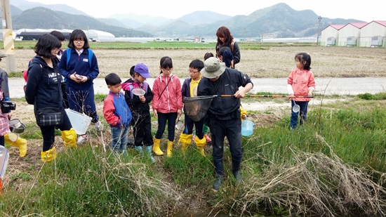 늪의 바닥에 있는 진흙을 살펴보고 있습니다.