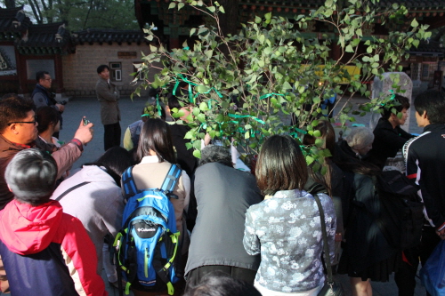 세월호 실종자들의 무사귀환을 바라는 소망나무에 메시지를 적으려는 시민들이 점점 늘어났다.