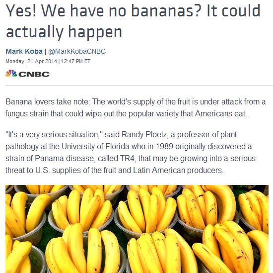 '바나나 전염병' 확산 위기를 보도하는 CNBC 뉴스 갈무리.