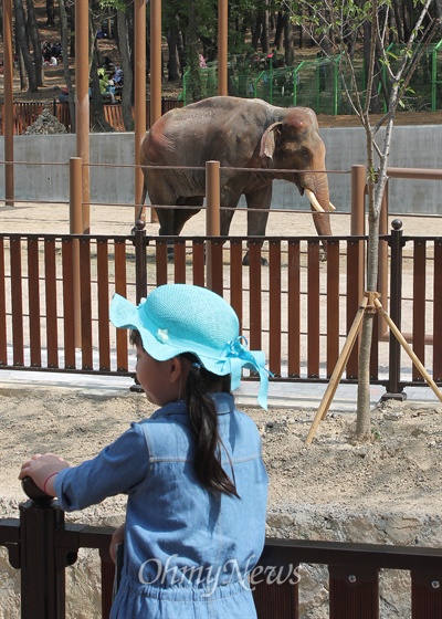 25일 개장식을 연 부산 삼정 더파크 동물원에서 한 어린이를 코끼리를 관람하고 있다. 