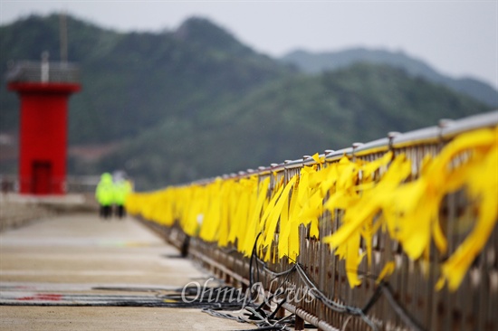  세월호 침몰사고 12일째였던 지난해 4월 27일. 전남 진도 팽목항에 실종자들의 무사귀환을 바라는 노란리본이 줄지어 있는 모습.