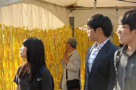  1일 오후. 세월호 참사 희생자들을 추모하기 위해 만들어진 합동분향소 찾은 시민들이 희생자들을 추모하고 실종자들의 무사귀환을 바라는 마음으로 달아놓은 노란 리본이 가득하게 매달려 있다.