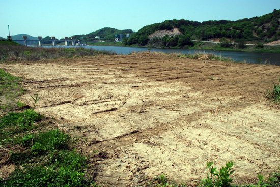 충남 공주시 국가지정문화재 명승 제21호 고마나루 주변 지역 강변이 훼손되어 있다.
