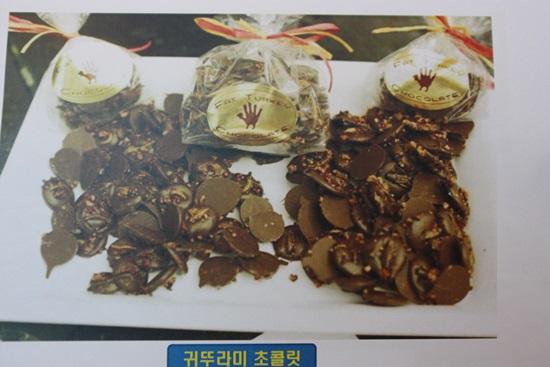 채널A <이영돈PD의 먹거리 X 파일>에 나온 귀뚜라미 초콜릿의 모습