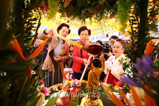 6일 오전 서울 종로구 조계사에서 열린 불기 2558년 봉축 법요식에 참석한 신도들이 관불을 하고 있다.
