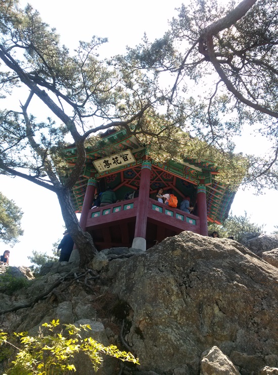 낙화암 벼랑 위에 자리한 백화정 이름과 모순되게 이곳에 핀 것은 꽃보다는 망국의 한을 가진 이들이었다