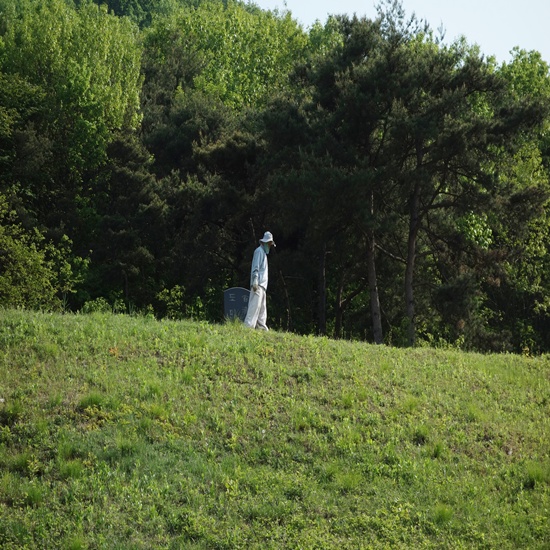    산나물을 체취하는 산사의 사람