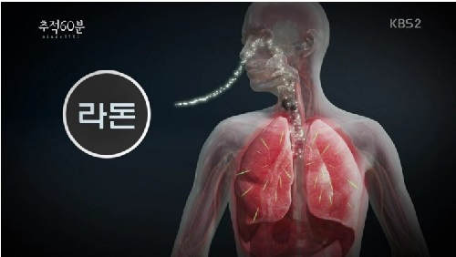 자연 방사능인 라돈은 흡연 다음으로 폐암을 유발시키는 물질로 꼽혀 1급 발암물질로 규정됐다. 