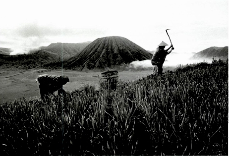 화산 마을의 농부들