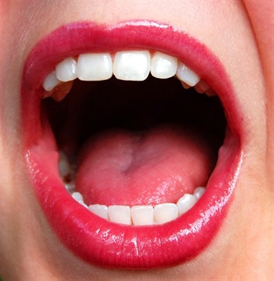 치아는 인체에서 가장 단단한 조직이다. 