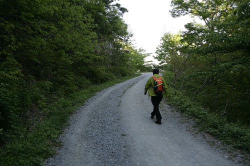 병풍산 편백숲 트레킹 길. 임도 구간이 길어 걷기에 부담이 없다.