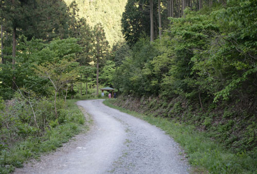 병풍산 편백숲 트레킹 길. 숲길이 한적하다.