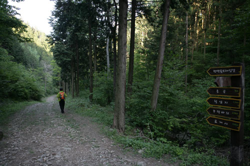 병풍산 편백숲 트레킹 길. 오른편 계곡을 따라 길이 이어진다.