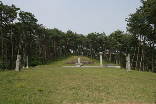 박수량 선생의 묘와 백비 전경. 전남 장성군 황룡면 금호리 뒷산 양지바른 곳에 자리하고 있다.