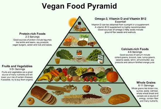 채식주의 식품 피라미드   
