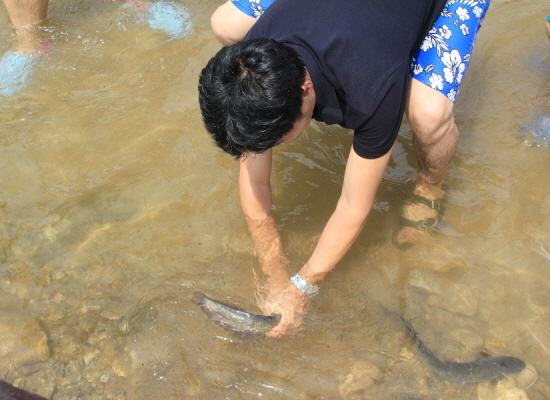 한 축제 참가자가 맨손으로 물고기를 잡고 있다. ⓒ메기수염축제 홈페이지
