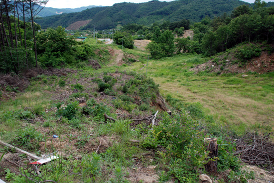나무를 간벌하고 확장 구간인 계곡 부위에 쌓아 놓은 토사가 빗물에 유실되고 있다.

