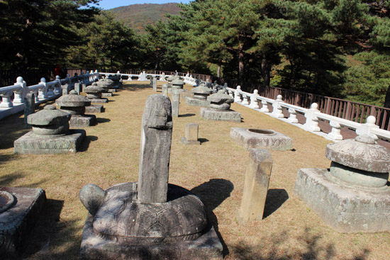 세종대왕자태실 경북 성주군 최고의 역사여행 답사지는 세종대왕의 아들들과 손자 단종의 태가 묻혀 있는 '세종대왕자태실'이다. 독립운동가 김창숙 선생 관련 유적(생가 등)과 파리장서 유적 백세각 등도 성주가 자랑하는 역사 답사지들이다.