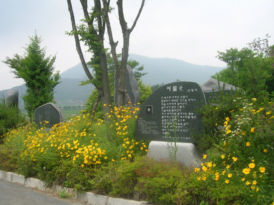  시와 숲길로 오르는 갈가에 둘꽃이 만개했다. 