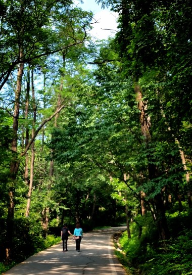 울창한 산림 속에서 시민들이 편하게 산책을 즐기고 있다.
