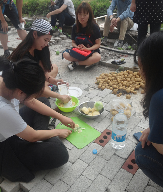 경희대학교 '도시농부학교' 수강생들이 수확한 감자를 채썰고 있다.