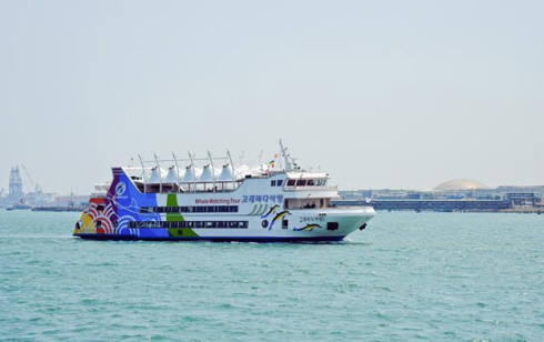축제 기간 동안 장생포에서는 울산 앞바다의 아름다움을 느낄 수 있는 고래바다여행선을 운행한다. 
