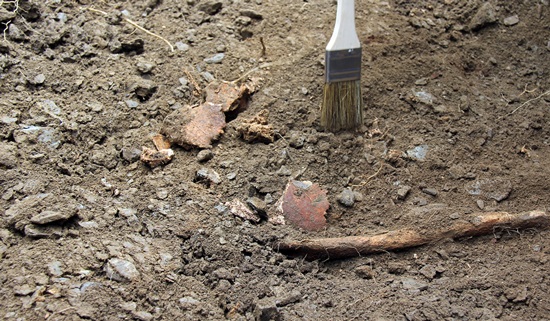 64년 만에 드러난 민간인 희생자 유해. 두개골 파편(가운데)과 정강이뼈(오른쪽)로 추정된다.
