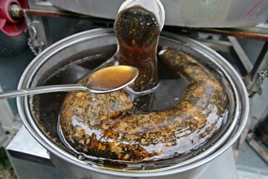 채밀기가 좌우로 움직이기 시작하자 진한 액체의 꿀이 흘러나온다. 
