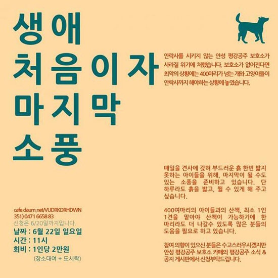 '소풍' 홍보 SNS 웹자보