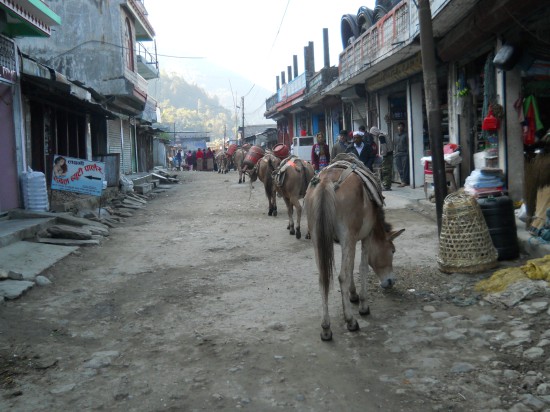 안나푸르나에는 3시간 간격으로 여행객이 숙박할 수 있는 마을이 있다.